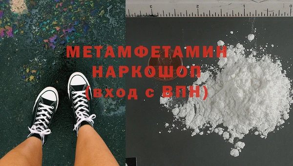 прущие грибы Богородск