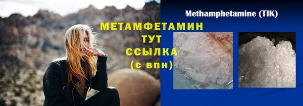 прущие грибы Богородск