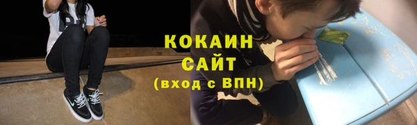 прущие грибы Богородск