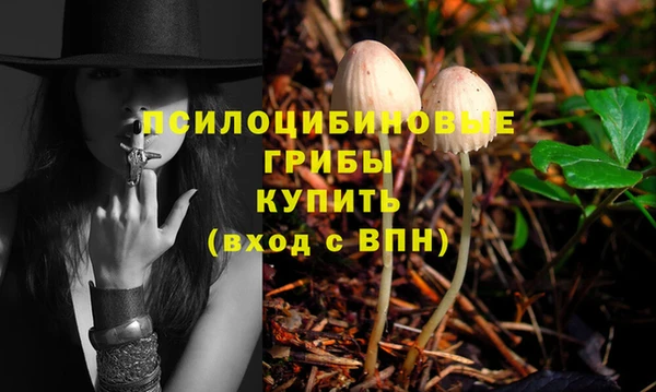 а пвп мука Богданович