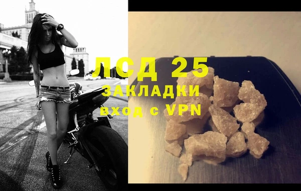 прущие грибы Богородск