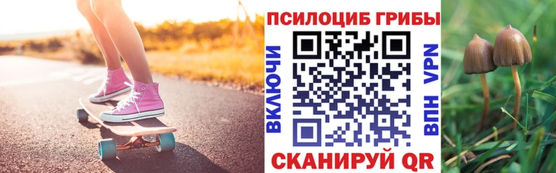 Псилоцибиновые грибы Magic Shrooms  Мензелинск 